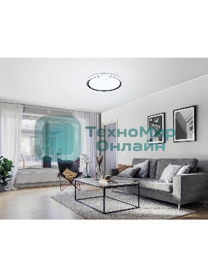 Потолочный светодиодный светильник Ambrella light FZ1247 WH/BK белый/черный IP54 20W 5000K D300*60 (Без ПДУ)