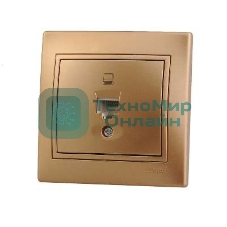 Розетка компьютерная 1-м СП Мира RJ45 метал. зол. Lezard 701-1313-139