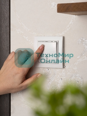 Выключатель 1-кл. СП Минск 10А проходной белый Basic EKF ERV10-025-10