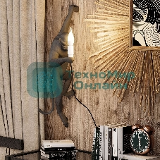 Лампа светодиодная Gauss Elementary 6Вт цок.: E14 свеча 220B 4100K св. свеч. бел. нейт. (упак.: 10 шт)