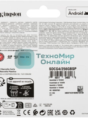 Флеш карта microSDXC 256Gb Kingston SDCG4/256GbSP Canvas Go! Plus V10 A2 w/o adapter