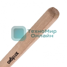 Грабли витые 8-зубые, 160х390 мм, стальные, деревянная рукоятка, АГРОНОМ, Россия Сибртех