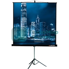 Экран на треноге Lumien 220x165 см Master View LMV-100113 4:3 напольный рулонный