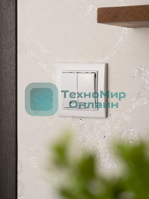 Выключатель 2-клавишный СП с индикатором,10А, белый EKF Basic Минск