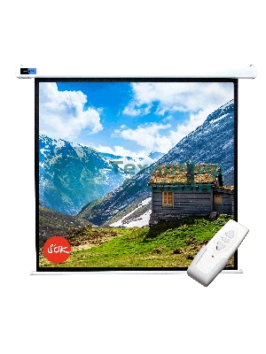 Экран 250x250 см Motoscreen 1:1 настенно-потолочный рулонный (моторизованный) 139' фибергласс