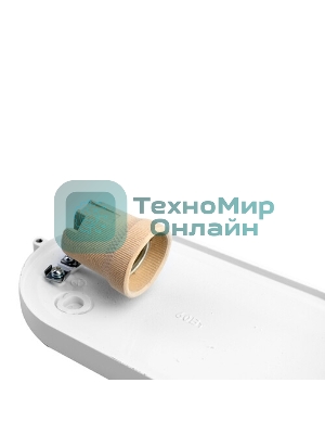 Светильник влагозащищенный Camelion (13656) 1401S C01/E27/60Вт