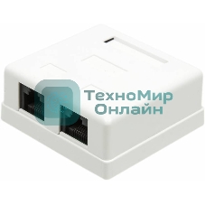 Розетка TWT (TWT-SM2-4545-WH) настенная 2 порта RJ-45 категории 5е. UTP. белая