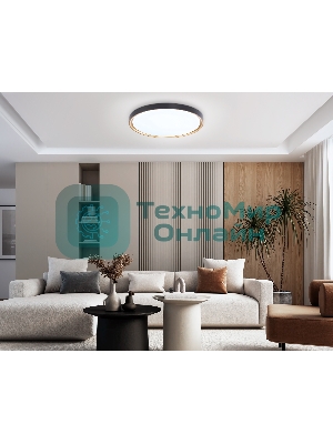Потолочный светодиодный светильник Ambrella light FZ1249 BK/GD черный/золото IP54 45W 5000K D480*60 (Без ПДУ)