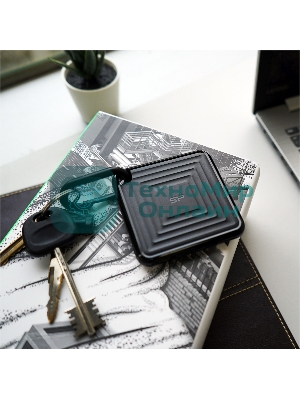 Внешний SSD 2TB Silicon Power PC60, External, USB 3.2 Type-C R/W - 540/500 MB/s черный