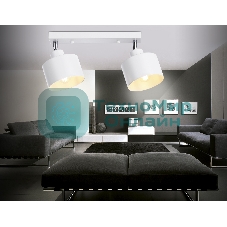 Светильник Ambrella light TR8141/2  WH белый E27*2 max 40W 340*120*180