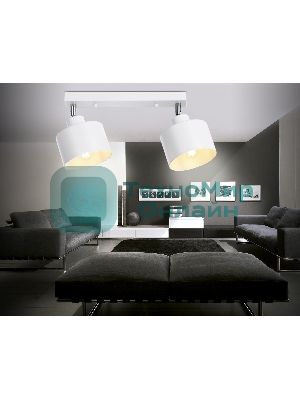 Светильник Ambrella light TR8141/2  WH белый E27*2 max 40W 340*120*180