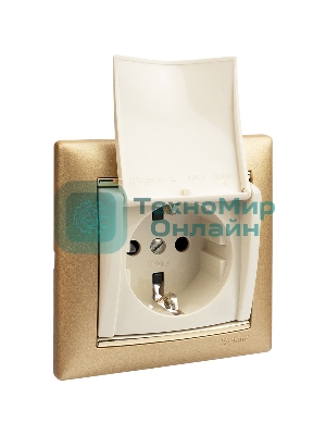 Механизм розетки 1-м СП Valena с защ. крышкой защ. шторки с заземл. сл. кость Legrand 774322