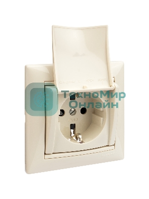 Механизм розетки 1-м СП Valena с защ. крышкой защ. шторки с заземл. сл. кость Legrand 774322
