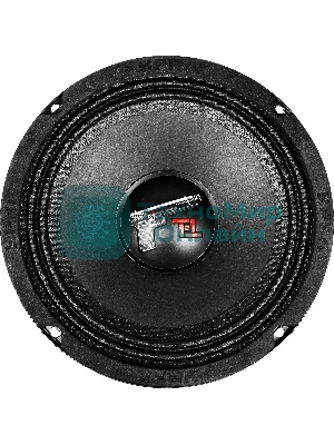 Колонки автомобильные Ural ТТ 165.2 (без решетки) 220Вт 95дБ 4Ом 16.5 см (6 1/2 дюйм) (ком.: 2кол.) среднечастотные однополосные