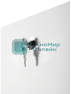 Шкаф телекоммуникационный напольный ЭКОНОМ 42U (600 × 600) дверь металл 2 шт.