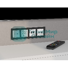 Лицевая панель ALFA (Белый матовый) для TV двойной розетки QUANT AP1333