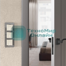 Рамка на 3 поста Elite (дымчатый, стекло) W0032417