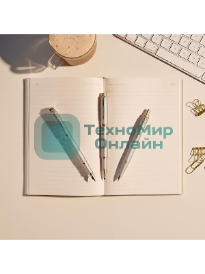 Ручка роллер Parker IM Monochrome T328 (2172955) Champagne PVD F черн. черн. подар.кор.