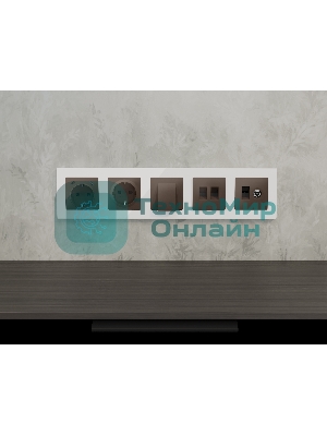Комплект механизма электрической розетки 2USB С+C 20W с/з на винтовых зажимах 16A-250V ALFA Темная бронза матовый QUANT (AP6405, VM165) MA640510