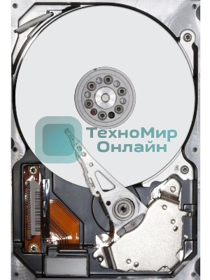 Жесткий диск Seagate SATA 10Tb 7200RPM 6Gb/S 256MB ST10000VN000