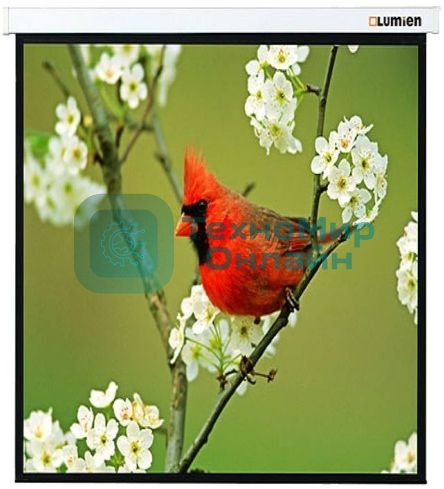 Экраны LUMIEN LUMIEN Master Picture LMP-100129 220*220 1:1, черная кайма по периметру