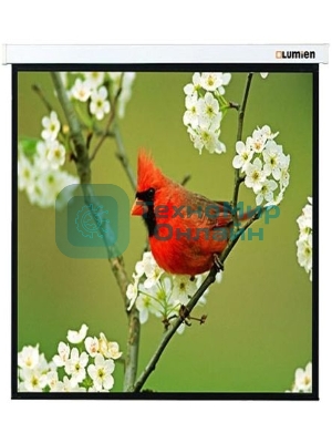 Экраны LUMIEN LUMIEN Master Picture LMP-100129 220*220 1:1, черная кайма по периметру