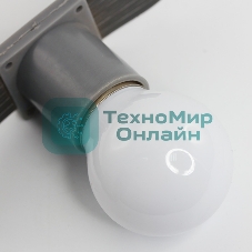 Лампа светодиодная Neon-night 