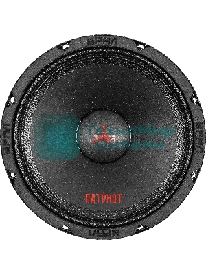 Колонки автомобильные Ural ПАТРИОТ АС-ПТ165.2, (без решетки), 300Вт, 98.5дБ, 4Ом, 16.5 см, (6 1/2 дюйм), 2 шт, широкополосные, однополосные