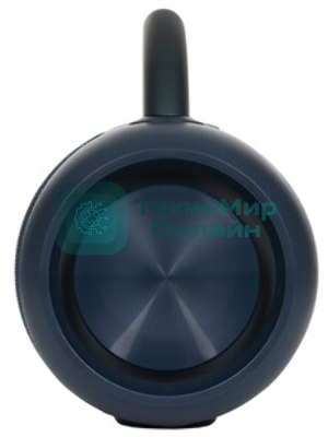 Колонка беспроводная Smartbuy MASTER, синий