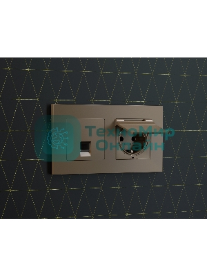 Комплект механизма компьютерной розетки ALFA Темная бронза матовый RJ-45(8P8C) CAT6 с шторкой QUANT (AP6420, VM188) MA642010