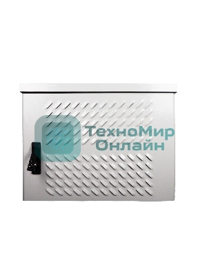 Шкаф уличный всепогодный настен. 9U (600х300), передняя дверь вент. (ШТВ-Н-9.6.3-4ААА)