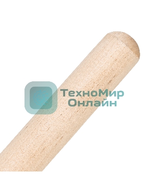 Грабли Сибртех веерные 20 зубьев, с черенком, оксидированные, плоский зуб