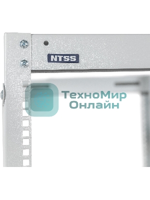 Стойка двухрамная NTSS NTSS-2POR42U/600-1000 42U 550ммx1000мм 600кг серый