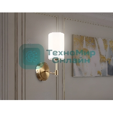 Настенный светильник Ambrella light LH56056 BS/FR латунь/белый матовый E14 max 40W 160*120*280