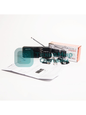 Радиоприемник портативный Сигнал РП-226BT черный/серебристый USB microSD