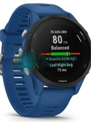 Умные часы Garmin Forerunner 255 1.3
