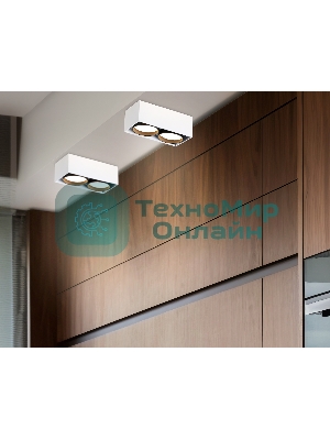 Светильник накладной TN70872/2 WH/BK белый/черный GX53/2 max 12W 185*92*62