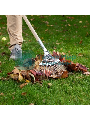 Грабли веерные стальные Сибртех 350 мм, 18 круглых зубьев, оцинкованные, без черенка