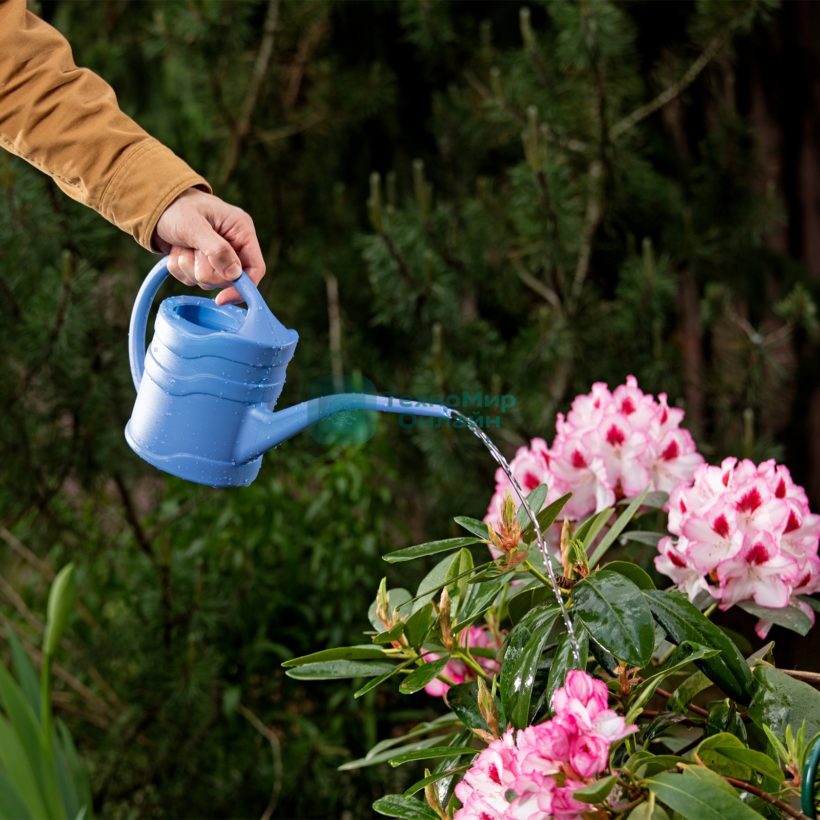 Лейка Россия малая, 1.3 л, пластмассовая Россия 67500