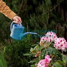 Лейка Россия малая, 1.3 л, пластмассовая Россия 67500