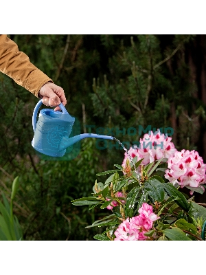 Лейка Россия малая, 1.3 л, пластмассовая Россия 67500