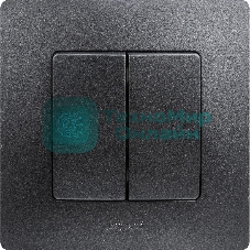 Выключатель двухклавишный, автоматические клеммы, Etika, 10AX, 250В~, антрацит Выключатель двухклавишный, автоматические клеммы, Etika, 10AX, 250В~, антрацит