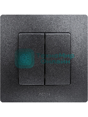 Выключатель двухклавишный, автоматические клеммы, Etika, 10AX, 250В~, антрацит Выключатель двухклавишный, автоматические клеммы, Etika, 10AX, 250В~, антрацит