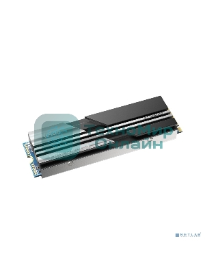 Накопитель SSD Netac NV5000, 500Gb, M.2 2280, PCIe 4.0 x4, NVMe, R/W 5000/2500, с радиатором