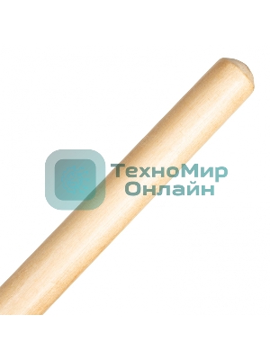 Грабли веерные стальные Palisad LUXE 430х1550 мм, 22 плоских зуба, лакированный черенок