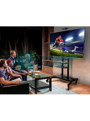 Стойка для телевизора с кронштейном ONKRON TS1881 50