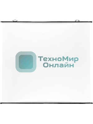 Экран Cactus 150x150 см Map type CS-PSRM-150x150-BK 1:1 настенно-потолочный рулонный черный