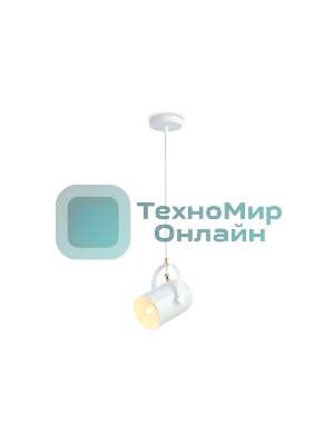 Светильник Ambrella light TR8205 WH белый E27 max 40W D117*1035