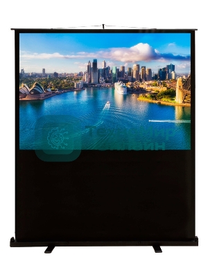 Экран Cactus 120x160 см FloorCompactExpert CS-PSFLCE-160X120 4:3 напольный рулонный