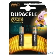 Батарея Duracell Basic CN LR03-2BL AAA (2шт)
